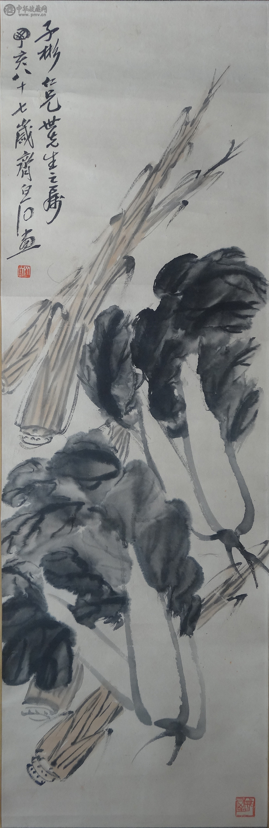 齐白石《白莱图》39.5x121cm