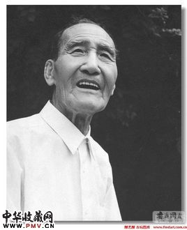 卫俊秀