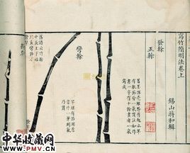 蒋和资料