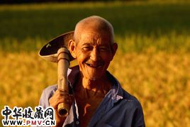 老农资料