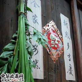 蒲月资料