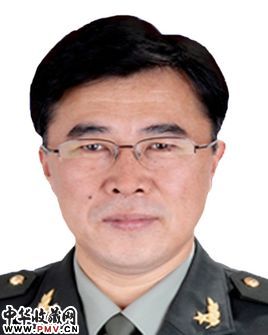 王树资料
