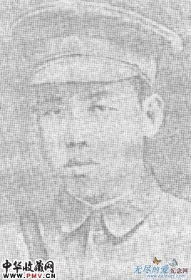 张贞资料 张贞资料