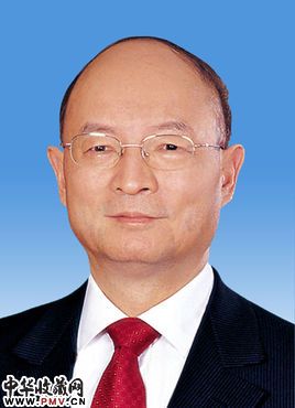 陈元资料 陈元资料