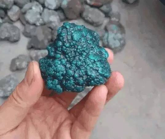 软引籽大多无铁线或其它物质.jpg