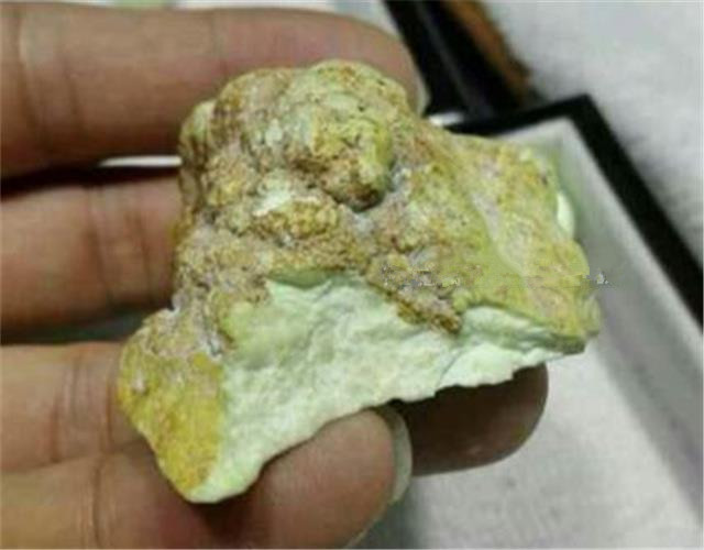 柠檬松4.jpg