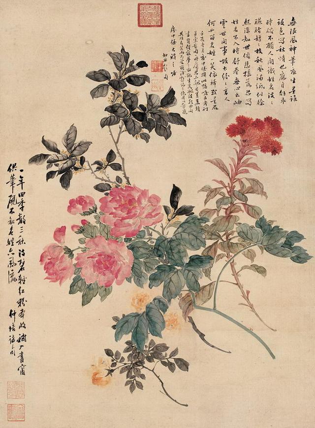 芍药图.jpg