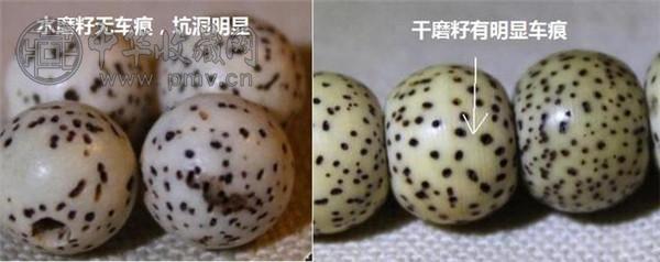 作假星月菩提4.jpg 作假星月菩提4.jpg