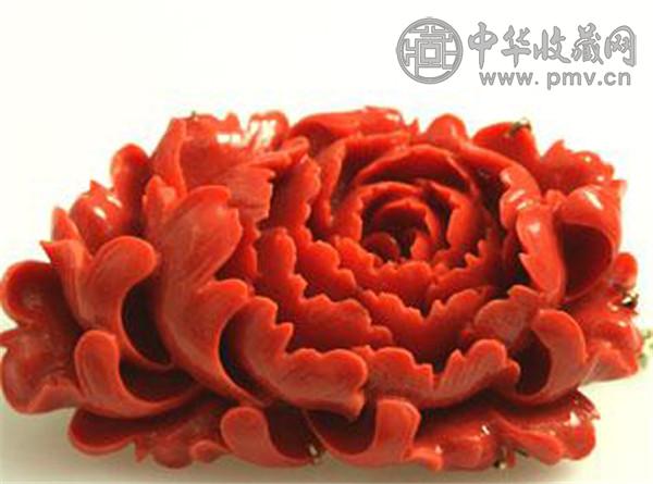红珊瑚.jpg