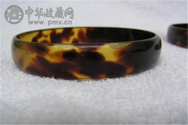 玳瑁2.jpg
