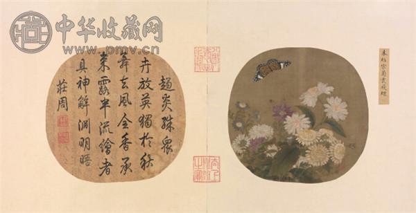 《菊丛飞蝶图》.jpg