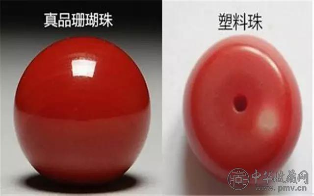 仿珊瑚.jpg