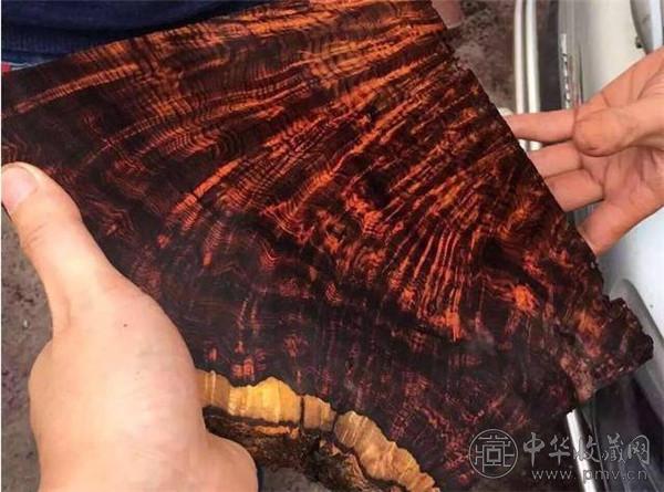 72万元堵黄花梨木 切开后竟成艺术品 (3).jpg