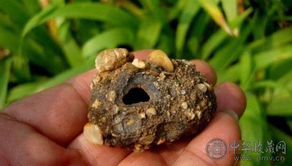 村民挖出奇石 冲洗过后堪比艺术品 (3).jpg