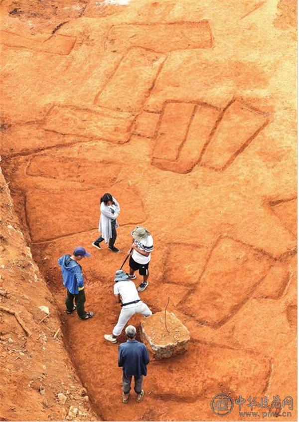 羊甫头墓葬区发掘现场.jpg