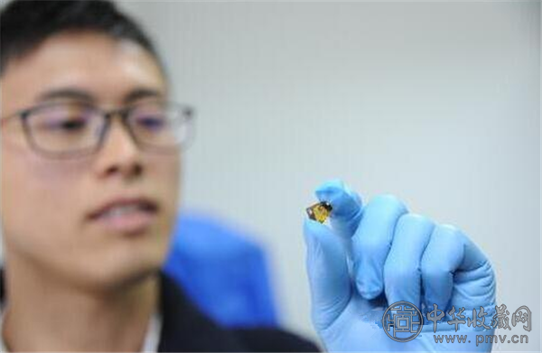 专家在琥珀中发现鞭苔甲 如恐龙般凶残 (1).png 专家在琥珀中发现鞭苔甲 如恐龙般凶残 (1).png