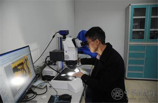 专家在琥珀中发现鞭苔甲 如恐龙般凶残 (2).png 专家在琥珀中发现鞭苔甲 如恐龙般凶残 (2).png