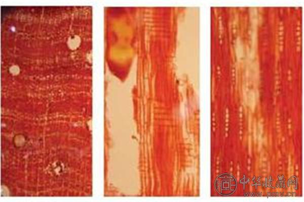 黑酸枝有什么特点 (1).jpg 黑酸枝有什么特点 (1).jpg