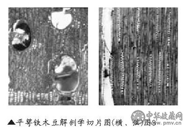 黑酸枝有什么特点 (2).jpg 黑酸枝有什么特点 (2).jpg