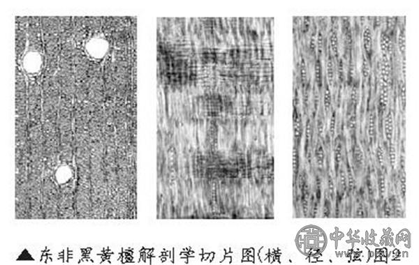 黑酸枝有什么特点 (3).jpg 黑酸枝有什么特点 (3).jpg