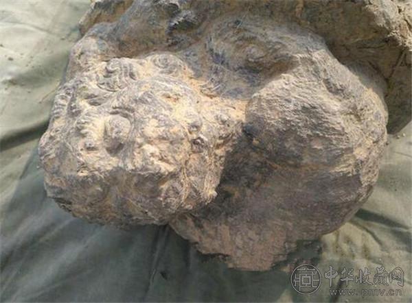 石兽 (1).jpg 石兽 (1).jpg