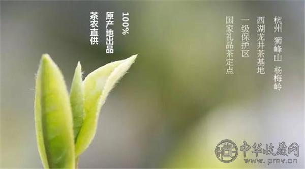 图中绿色区域为杭州西湖龙井产区.jpg