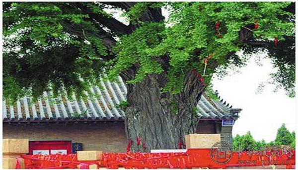 山西省：文物认养即将实施 (1).jpg