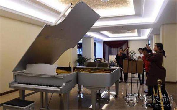 展厅展出的双子星超级钢琴吸引市民驻足拍照留念.jpg