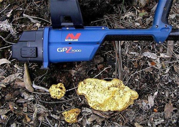 男子挖出8斤重金块 价值126万 (3).jpg