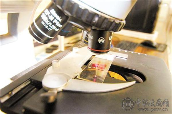 新汇红木检测有限公司配备有多种检测设备，其中显微镜主要用于木材切片的观察。.jpg