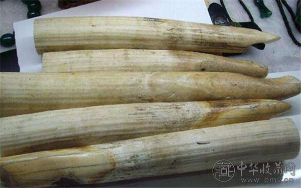 两男子网淘象牙制品出售牟利 均获刑半年 (1).jpg