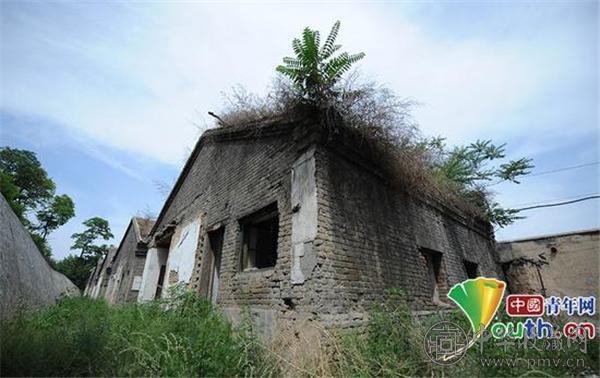 白家庄矿区西山日军居住旧址杂草丛生.jpg