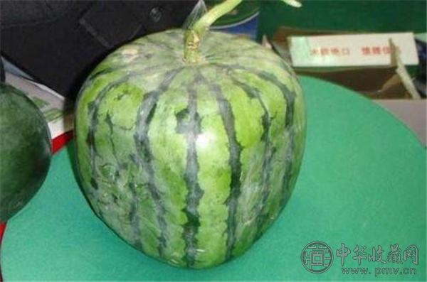 日本天价西瓜2.jpg