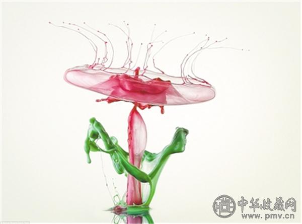 滴画摄影作品.jpg