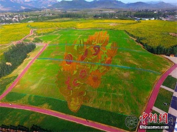 占地40亩的梵高名画《向日葵》亮相秦皇岛 收藏资讯