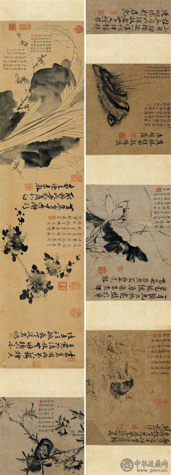 徐渭 写生卷.jpg