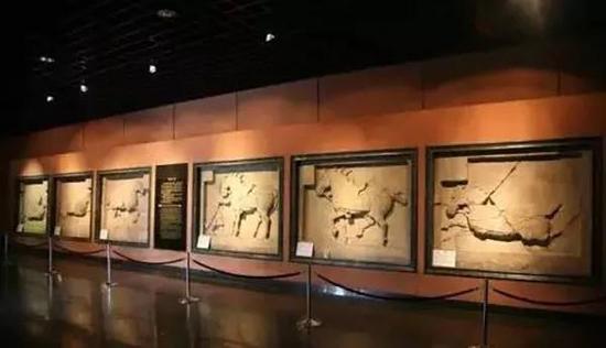 陈列在西安碑林博物馆的“昭陵六骏”，其中“飒露紫”，“拳毛騧”为复制品