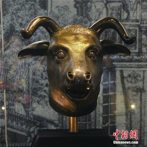 圆明园十二生肖兽首铜像中的牛首、虎首、猴首、猪首一起现身湖北宜昌。（中新社记者 王康明 摄）