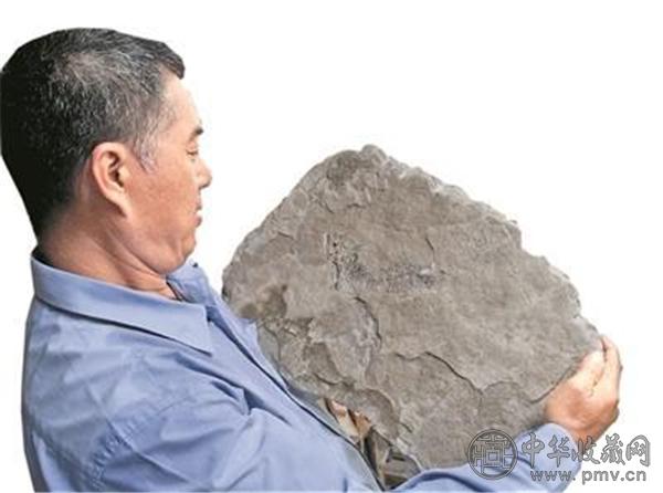 赵灿辉抱起一块鱼化石.jpg
