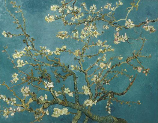 《杏花》Almond Blossom， 1890
