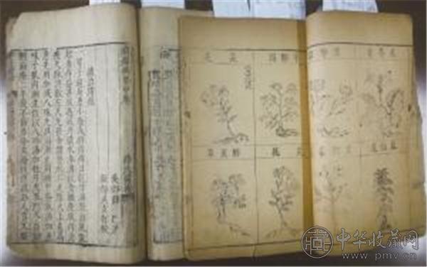 明代印刷版《本草纲目》和《薛氏医按》 柳安臣 摄.jpg
