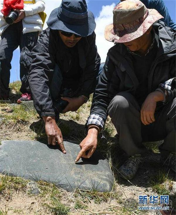 考察人员在查看称多县称文镇白龙村科哇岩画点的遗迹（5月14日摄）.jpg
