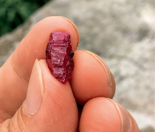 元江红宝石的桶状晶形，这种具有半自形的晶形在当地红宝石原石中不常见。