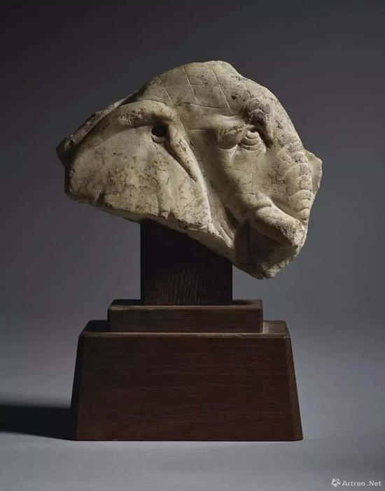 唐 大理石雕象首残像 高17.1厘米