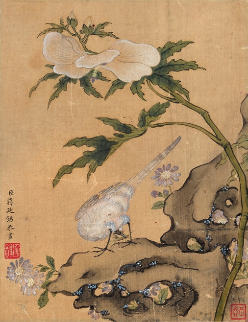 蒋廷锡 花鸟 绢片