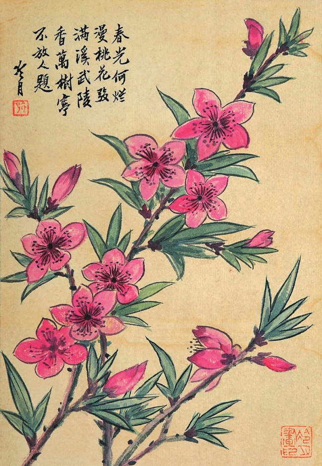陶冷月 桃花