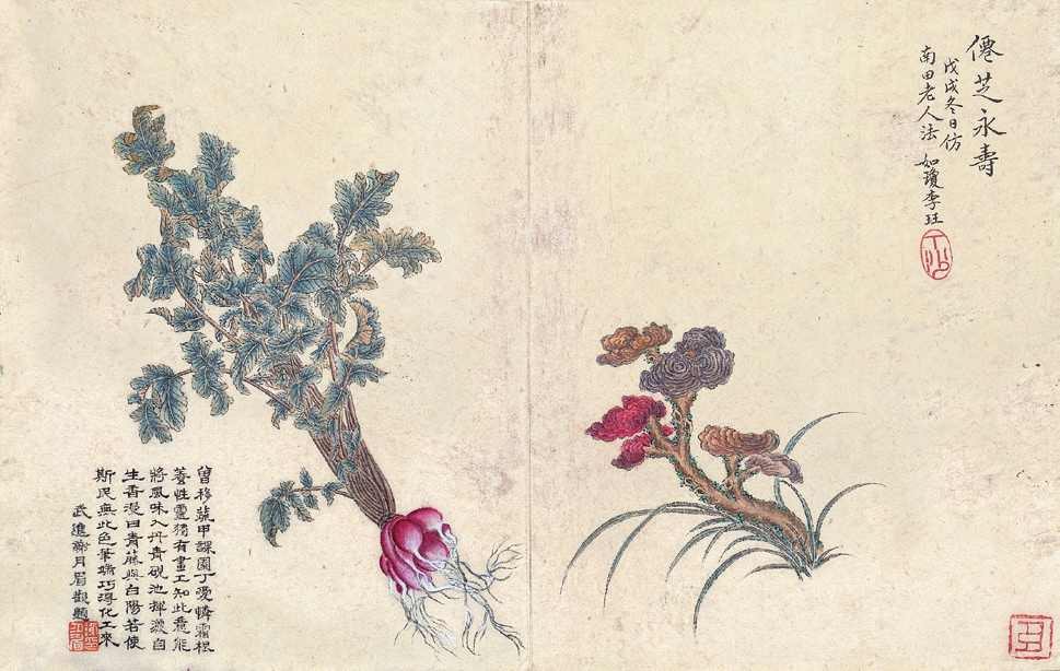 李珏 花卉 纸片