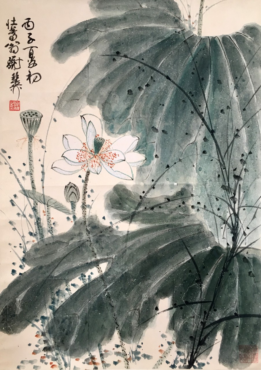 谢稚柳  荷花