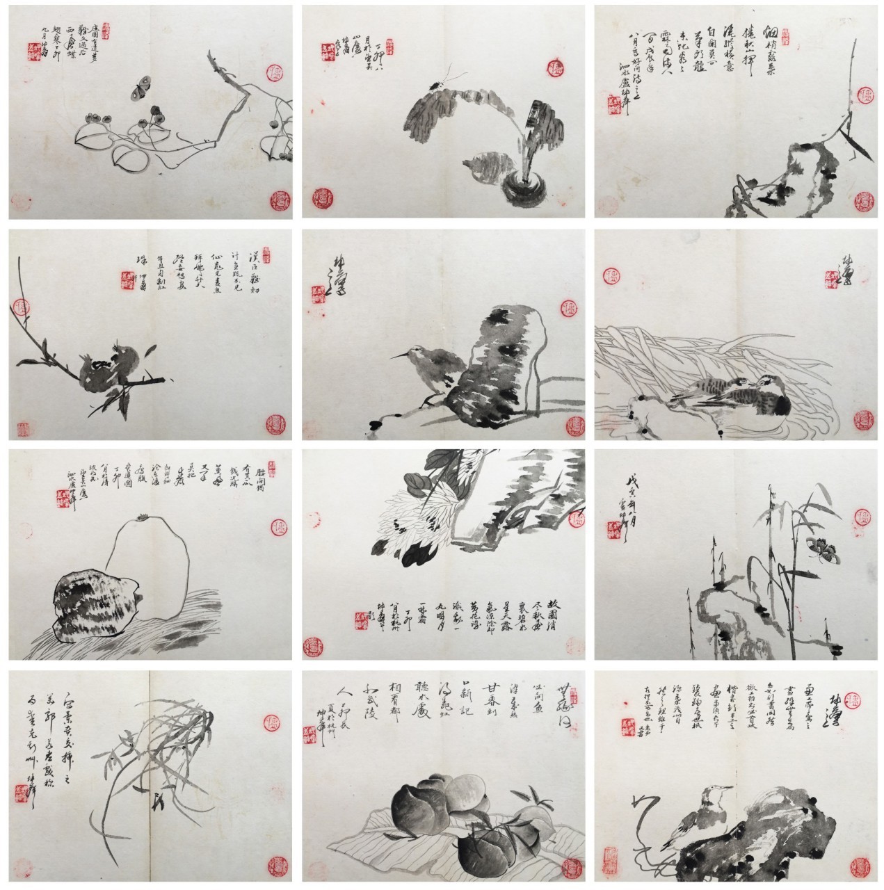 卢坤峰  花鸟册页十二开