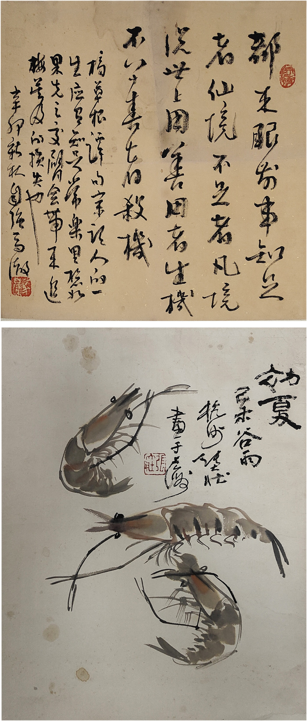 张大壮     虾书法双挖 